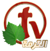 Egypt Studio production